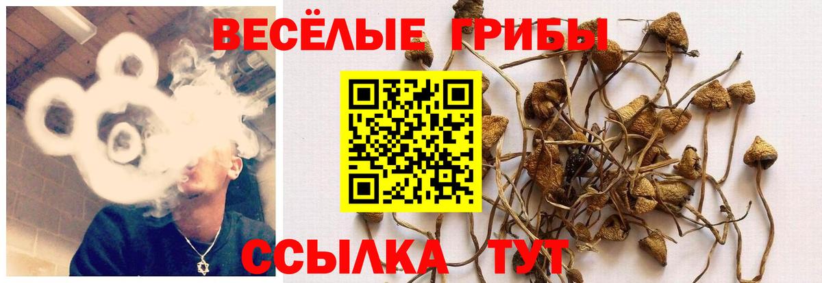Галлюциногенные грибы Magic Shrooms Новотроицк
